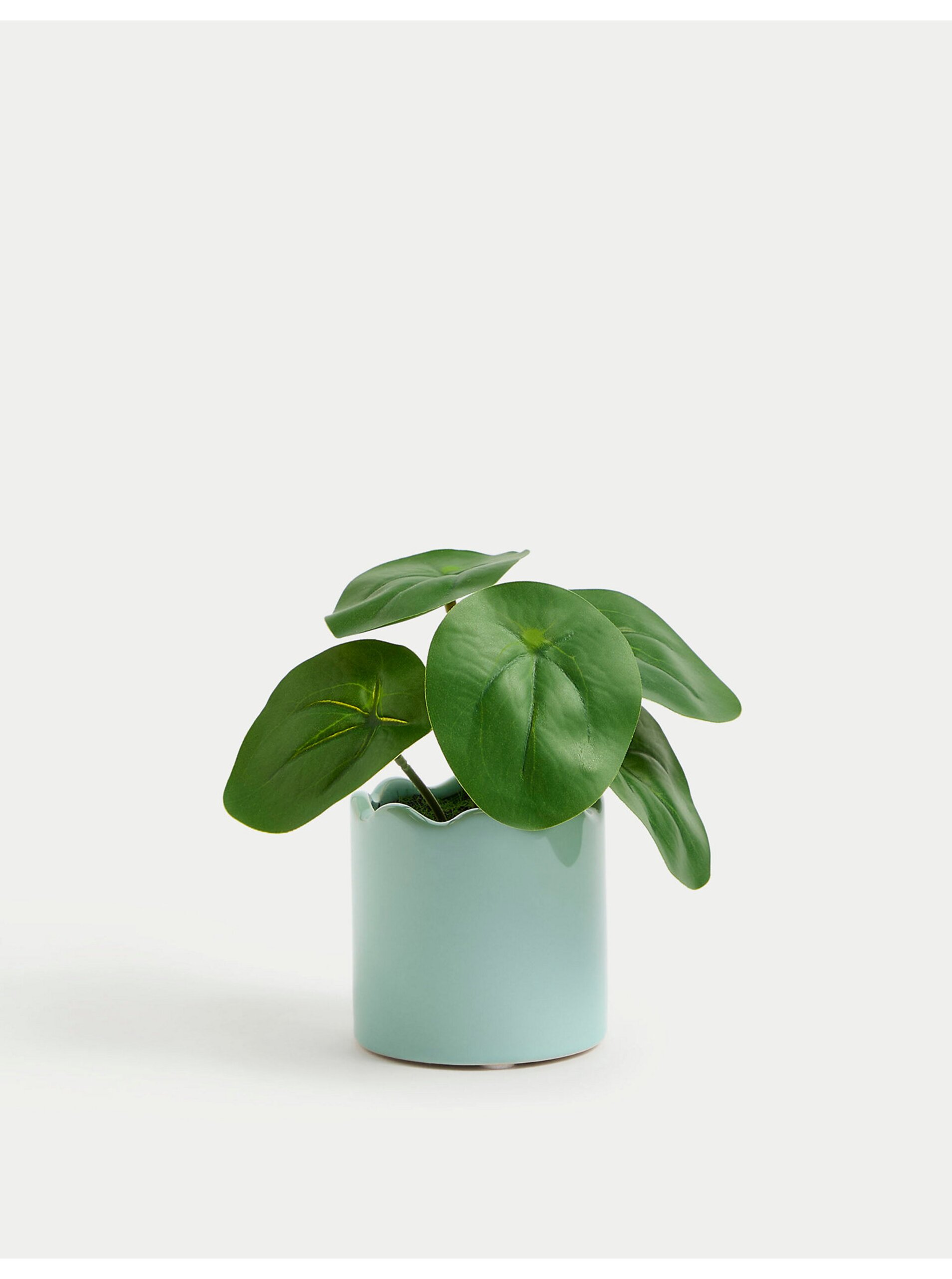 E-shop Umělá mini rostlina v květináči Marks & Spencer Pilea