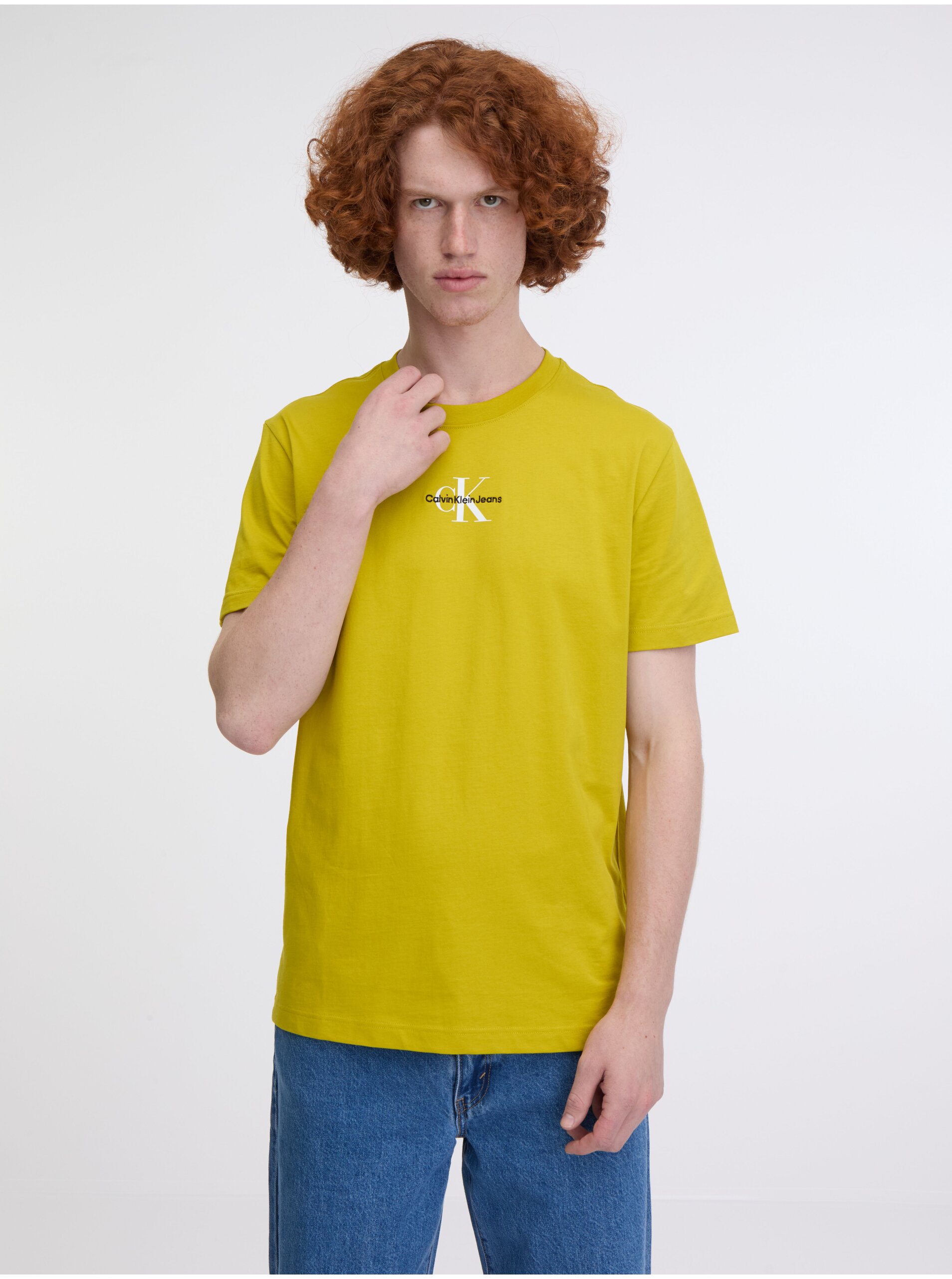 Levně Světle zelené pánské tričko Calvin Klein Jeans Monologo Regular Tee
