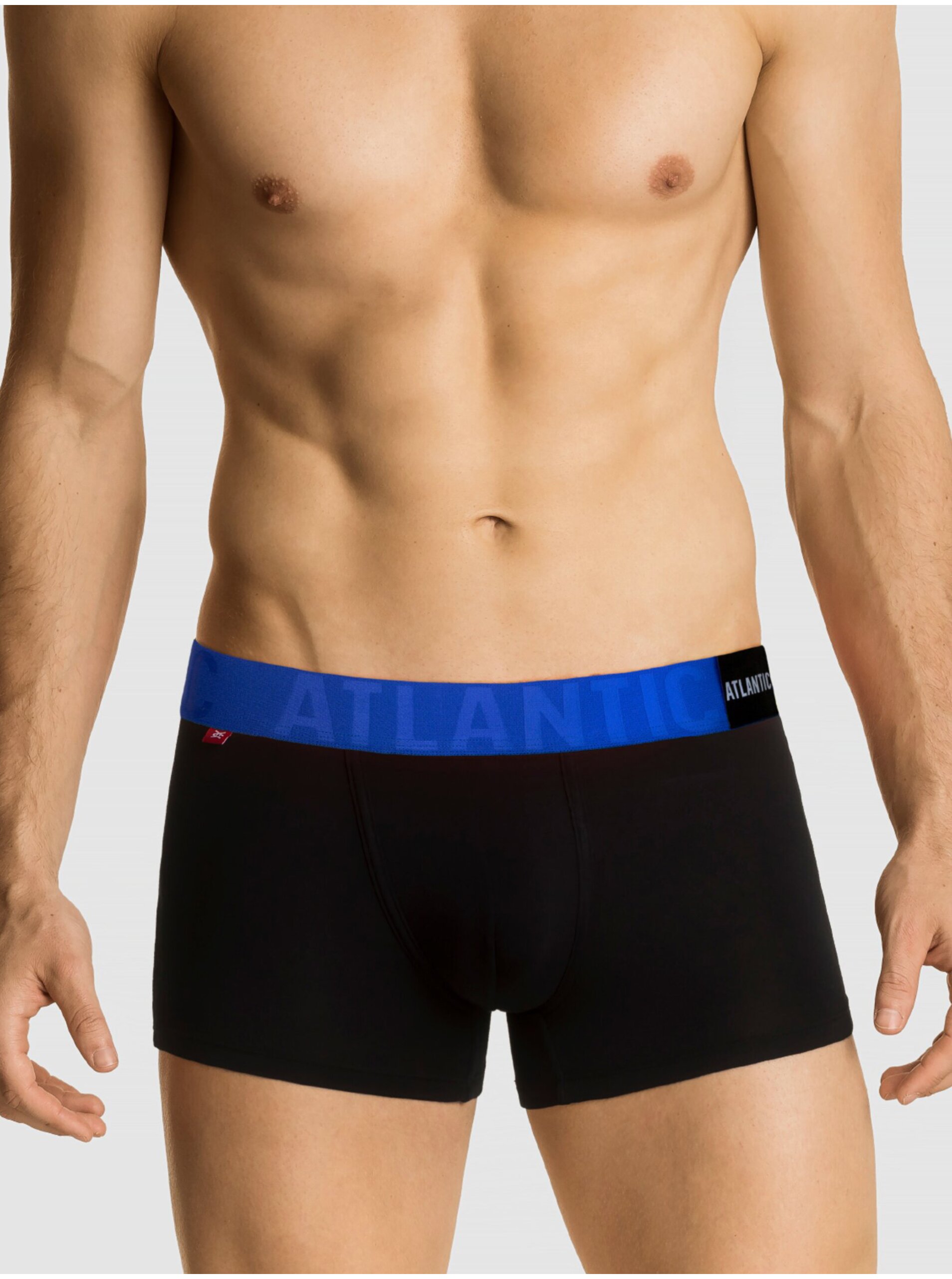 Pánské boxerky ATLANTIC PREMIUM s mikromodal