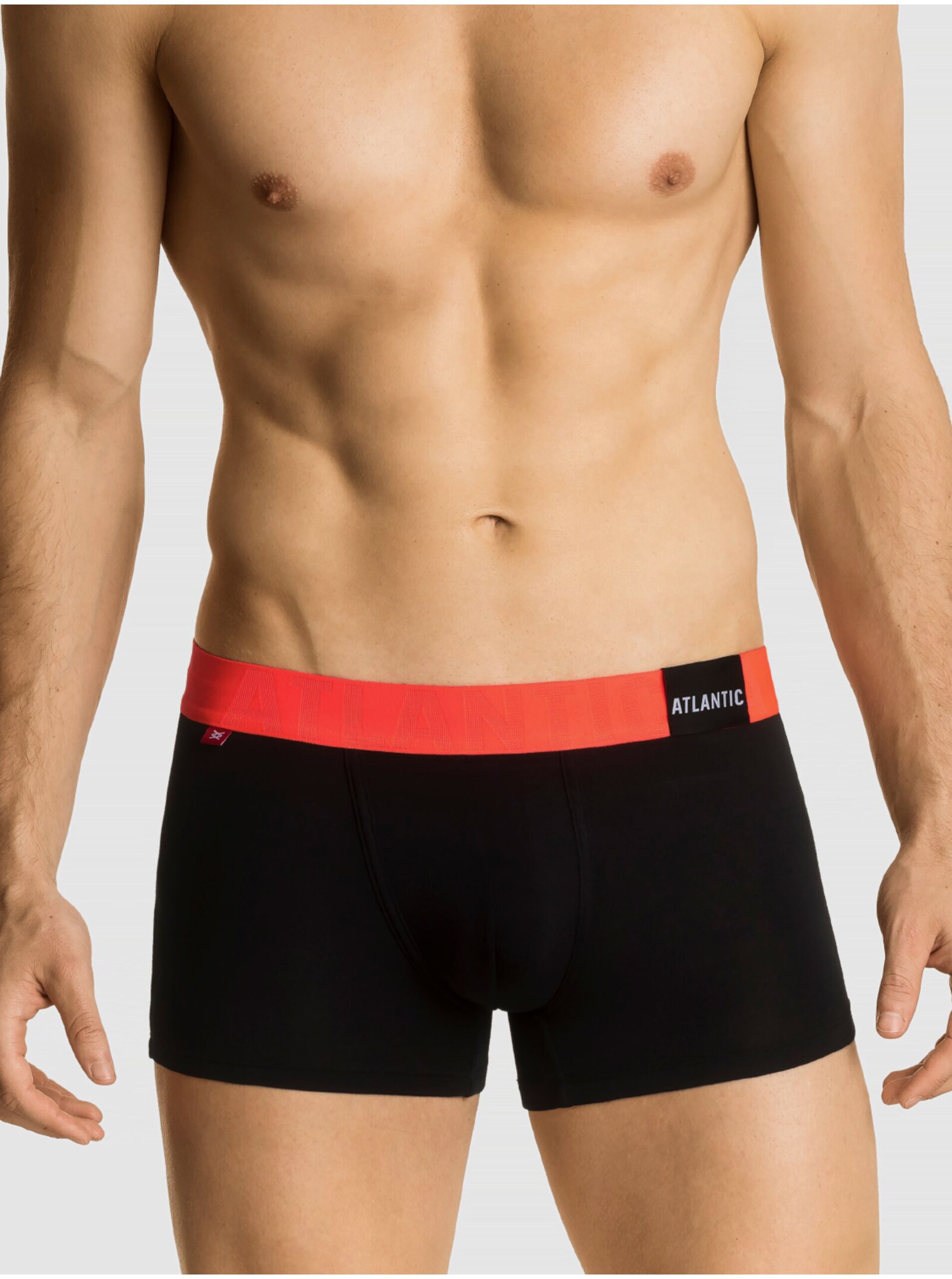 Pánské boxerky ATLANTIC PREMIUM s mikromodal