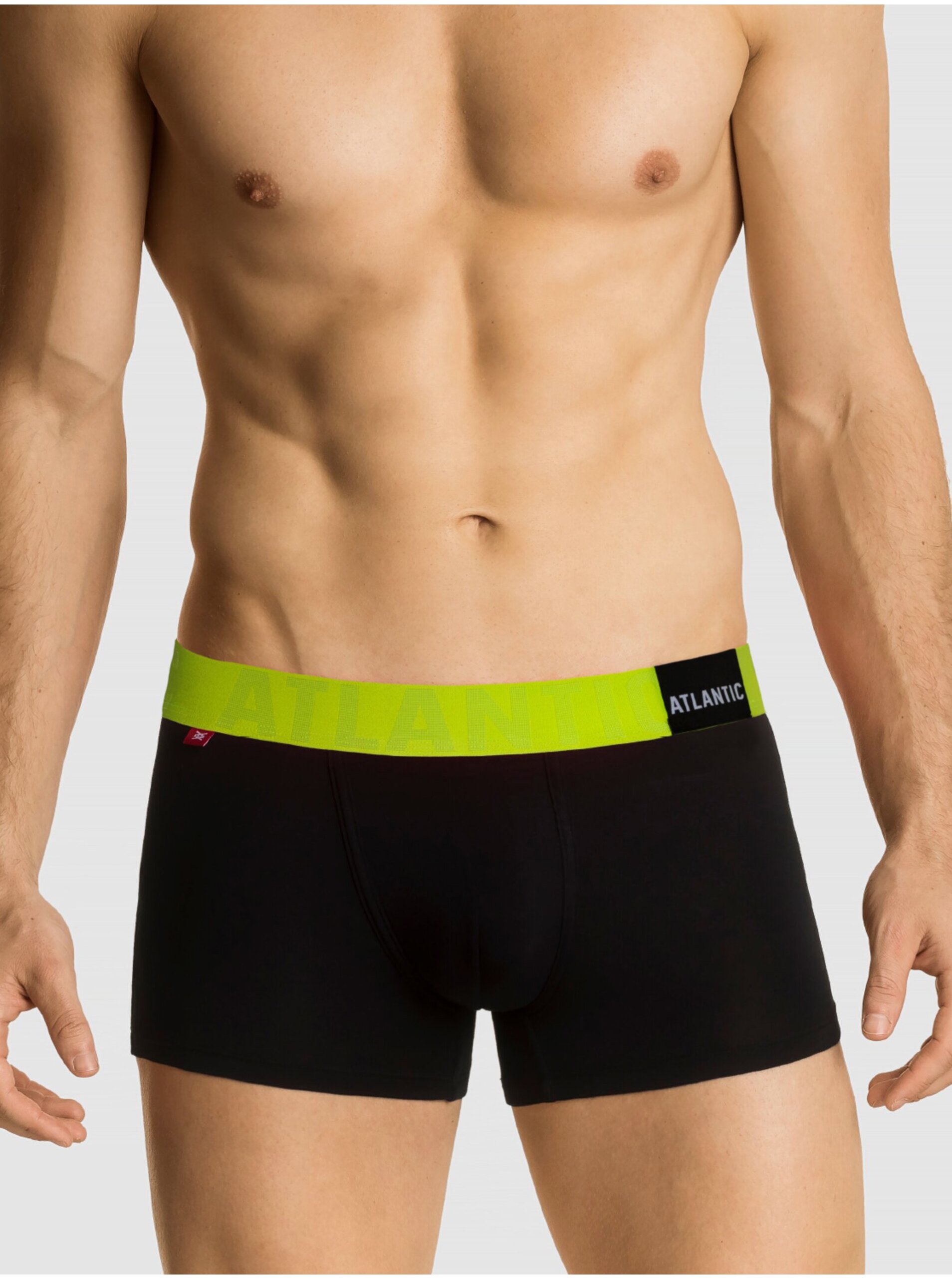Pánské boxerky ATLANTIC PREMIUM s mikromodal