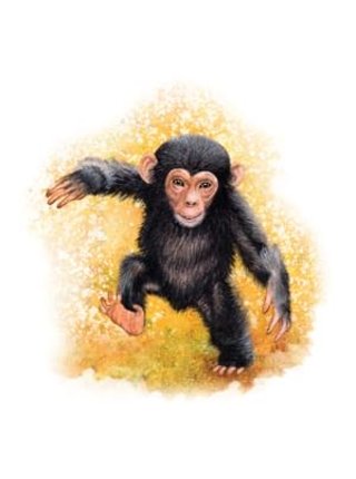Opičí sirup-na zklidnění MycoMedica ( 200ml )
