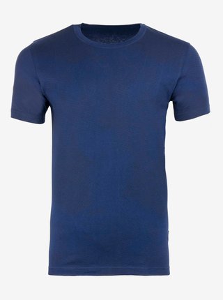 Pánské triko ALPINE PRO STRELL modrá