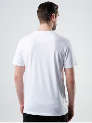 ALIX pánské triko bílá | šedá