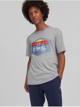 Šedé pánské tričko s potiskem O'Neill Mtn Horizon 