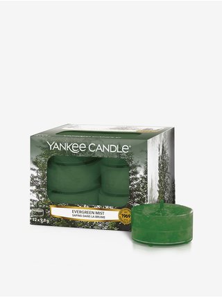 Vonné čajové sviečky Yankee Candle Evergreen Mist