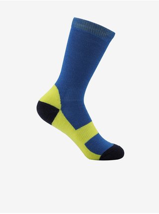 Dětské ponožky ALPINE PRO HENO modrá