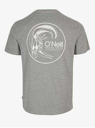 Světle šedé pánské žíhané tričko O'Neill Circle Surfer