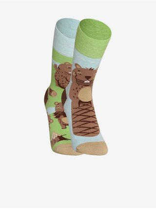 Zelené veselé ponožky Dedoles Bobr