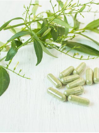 Potravinový doplněk pro podporu imunitního systému Herbal World (100 tablet)