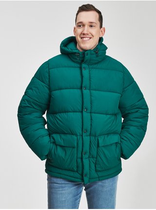 Zelená pánska bunda zimná s kapucňou GAP