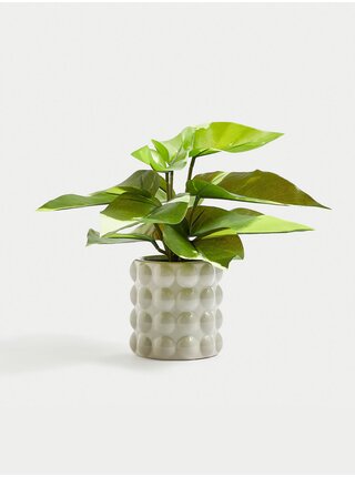 Umělý filodendron v keramickém květináči Marks & Spencer zelená