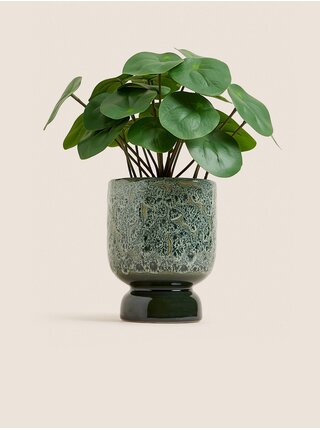 Zelená umělá rostlina pilea v keramickém květináči v zelené barvě Marks & Spencer 