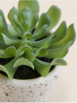 Zelený umělý sukulent v keramickém květináči v béžové barvě  Marks & Spencer