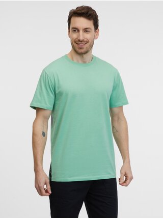 Světle zelené pánské tričko SAM 73 Goose
