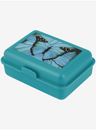 Modrý box na svačinu Baagl Butterfly