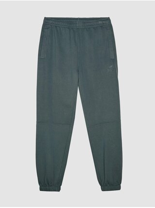 Pánské tepláky typu jogger 4F