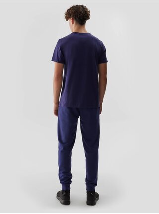 Pánské tepláky typu jogger 4F