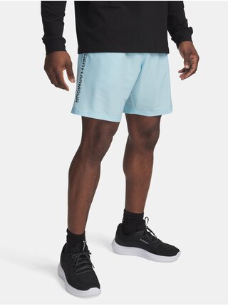 Pánské kraťasy Under Armour UA Tech Woven Wordmark Short