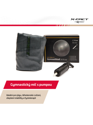 Míč Gym Ball 75 cm Worqout