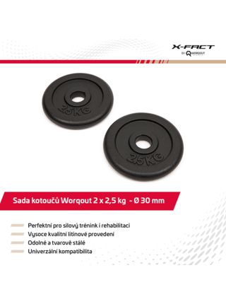 Závaží 2.5Kg Iron Weight Plates x 2 pc Worqout
