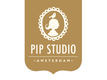 PiP studio